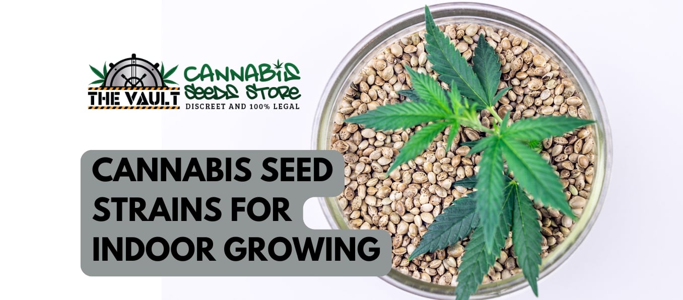 Cannabis seed strains for indoor growing
