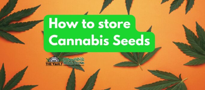 How To Store Cannabis Seeds!