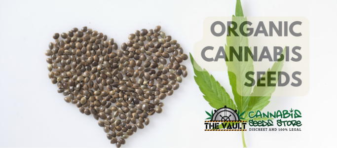 Organic Cannabis Seeds