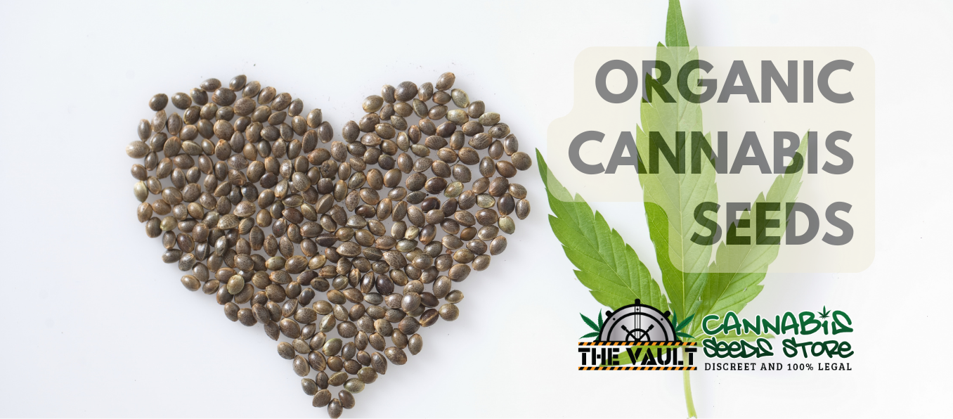 ORGANIC CANNABIS SEEDS