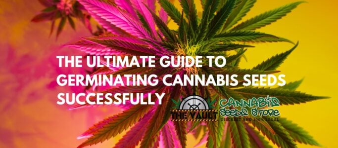 The Ultimate Guide to Germinating Cannabis Seeds Successfully