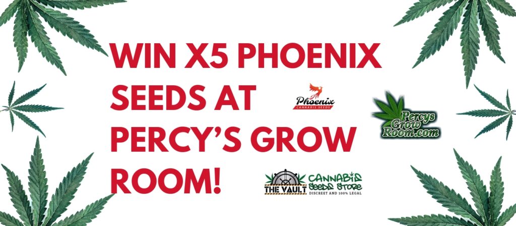 Win 5 Phoenix Seeds At Percys Grow Room 