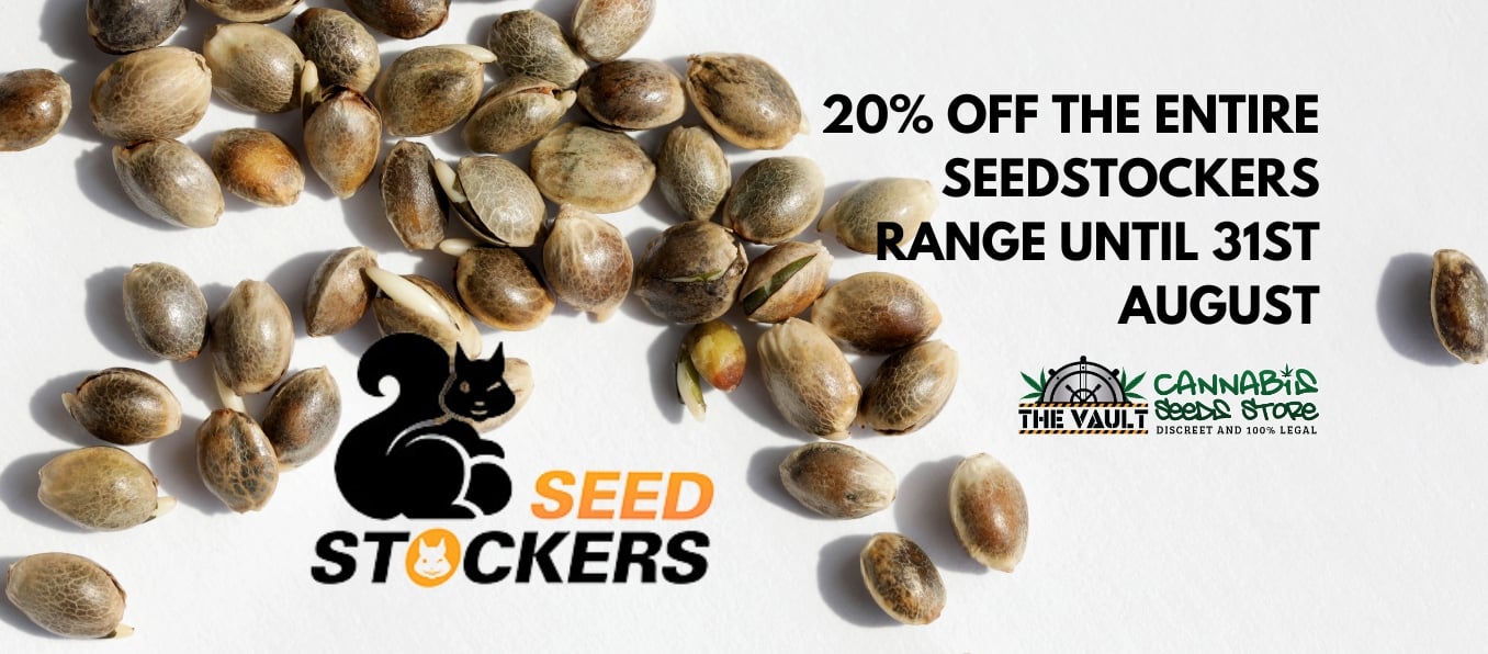 seedstockers promo