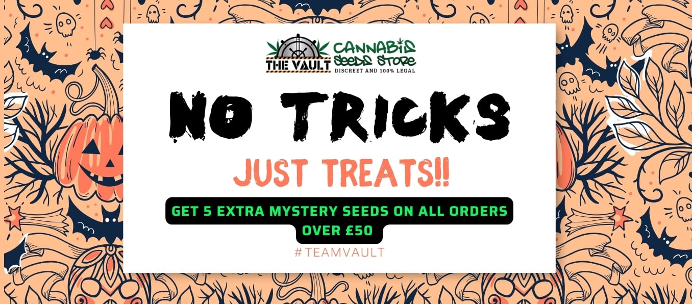 HalloweenVault
