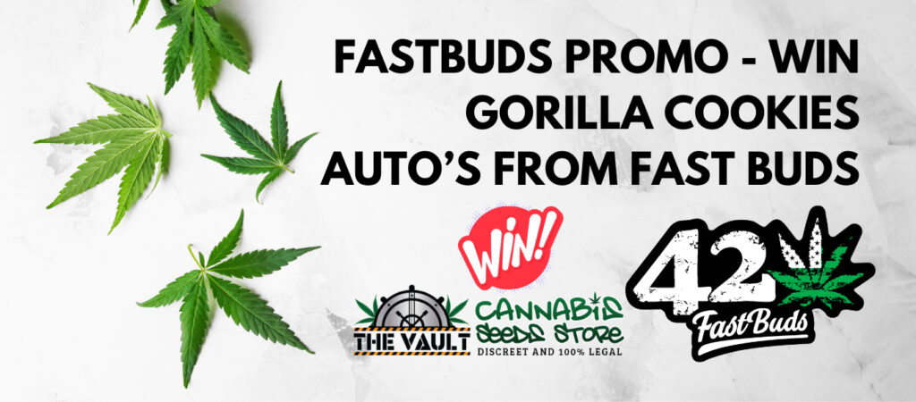 Fastbuds Gorilla Cookies FREE with every order