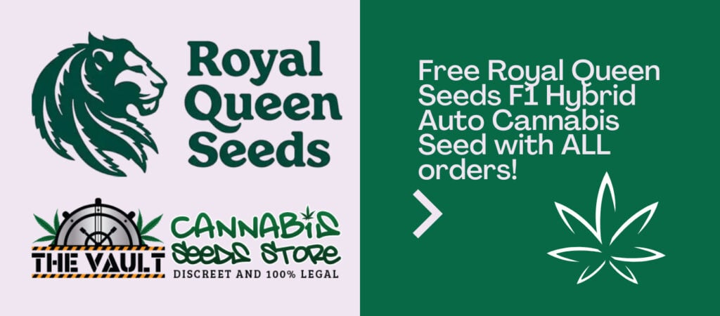 RQS Vault Cannabis Seeds F1 Offer