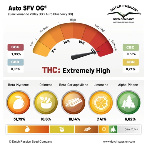 Auto SFV OG