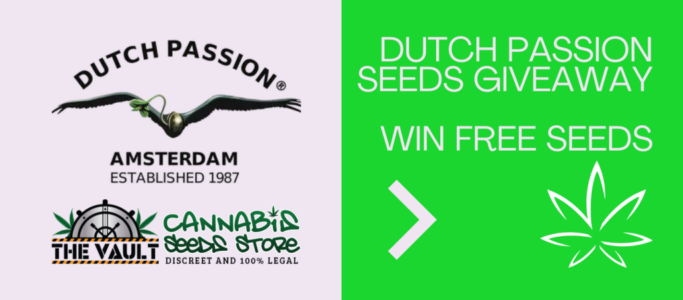 Dutch Passion 50 Cannabis Seeds Giveaway and New Freebies!