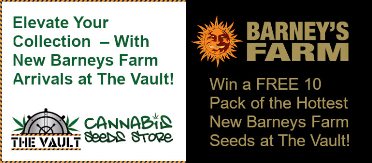 Barneys Farm Cannabis Seeds Give Away From The Vault
