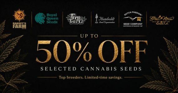 Cannabis Seeds Sale | Up to 50% Off Leading Breeders