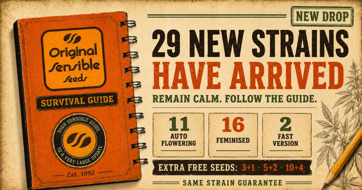 Original Sensible Seeds 29 New Strains Land at The Vault