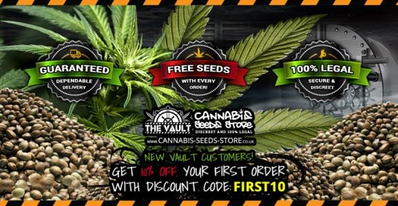 Cannabis Seeds UK: The Complete Guide to Buying Cannabis Seeds in the UK