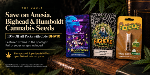 Save on Anesia, Bighead & Humboldt Cannabis Seeds