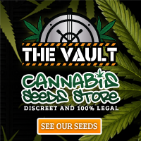 Vault Cannabis Seeds Store