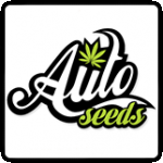 Auto  Cannabis  Seeds  Breeder