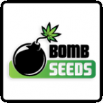 Bomb  Cannabis  Seeds