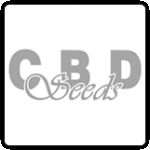 CBD Seeds