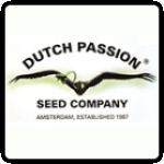 Dutch Passion Breeder