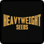 Heavyweight Seeds Cannabis Seeds