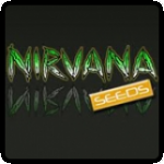 Nirvana  Cannabis  Seeds  Breeder