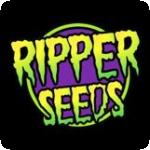Ripper Seeds Cannabis Seeds
