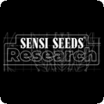 Sensi Cannabis Seeds Research 0
