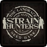 Strain Hunters Cannabis Seeds