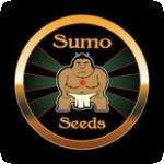 Sumo Seeds Cannabis Seeds