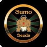 Sumo Seeds Cannabis Seeds