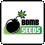 Bomb  Cannabis  Seeds