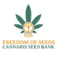 Freedom  Of  Cannabis  Seeds 0  Jpg