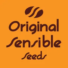 Original  Sensible 0  Png