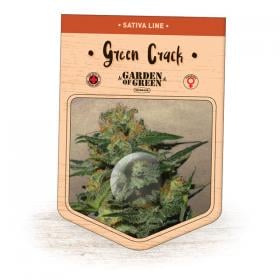 Green Crack Feminised Seeds