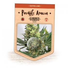 Pineapple Amnesia Feminised Seeds