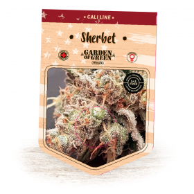 Sherbet Feminised Seeds