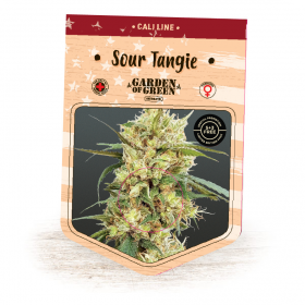 Sour Tangie Feminised Seeds
