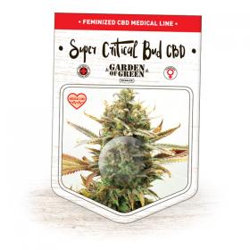 Critical Relief CBD Feminised Seeds