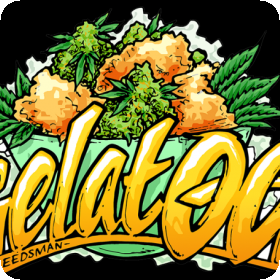 Gelat.OG Feminised Seeds