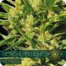 Northern  Lights  Auto  Feminised  Cannabis  Seeds  Vision  Cannabis  Seeds 0