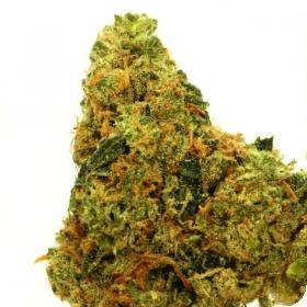 Sour Lemon OG Feminised Seeds