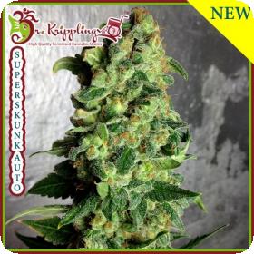 Super Skunk Auto Feminised Seeds