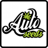 Auto Seeds