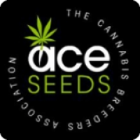 Ace Seeds