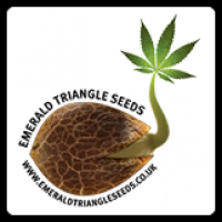 Emerald Triangle