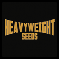 Heavyweight Seeds