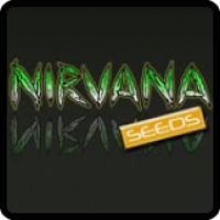 Nirvana  Cannabis  Seeds  Breeder