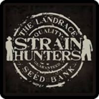 Strain Hunters