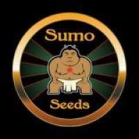 Sumo Seeds