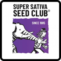 Super Sativa Seed Club