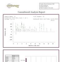 Doctor  Cannabis  Seedsman  Cbd 30 1  Feminised  Cannabis  Seeds  Cannabis  Seedsman 0